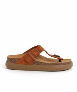 Artistattic.shop3ac38ed46a 1