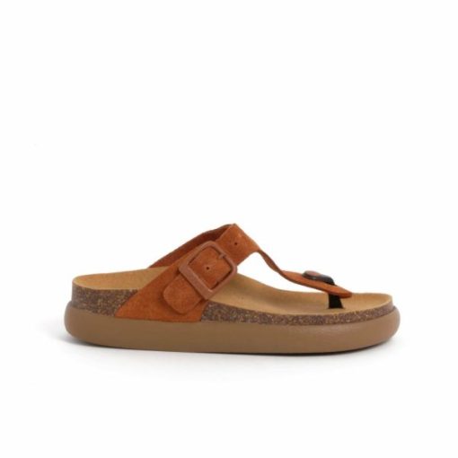 Artistattic.shop3ac38ed46a 1